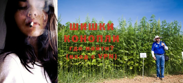 каннабис Абаза