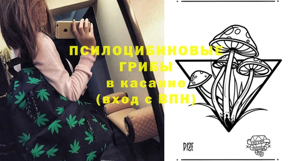 соль ск Абинск