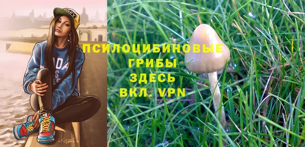 скорость Краснослободск