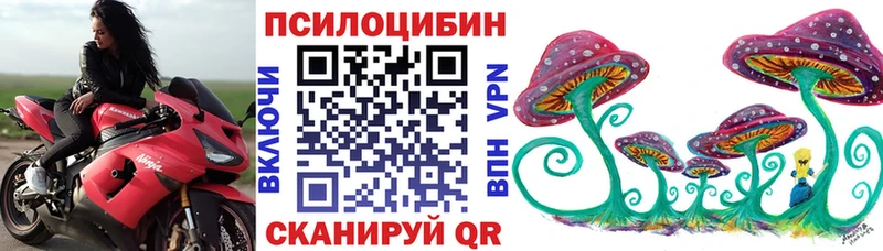 купить  цена  Чулым  мориарти формула  Галлюциногенные грибы MAGIC MUSHROOMS 
